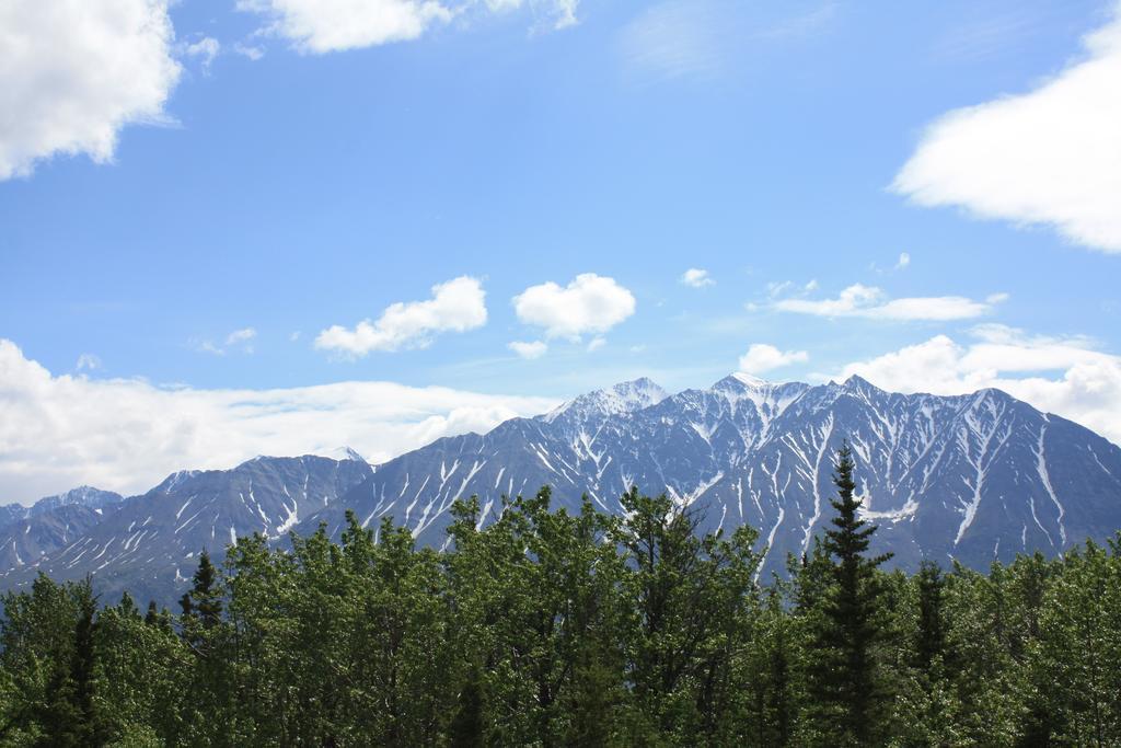 Mount Logan Ecolodge 海恩斯章克申 客房 照片
