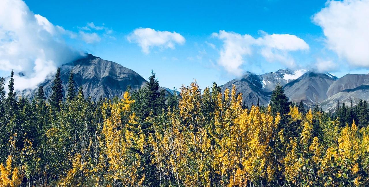 Mount Logan Ecolodge 海恩斯章克申 外观 照片
