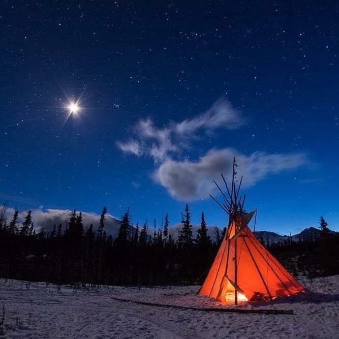 Mount Logan Ecolodge 海恩斯章克申 外观 照片